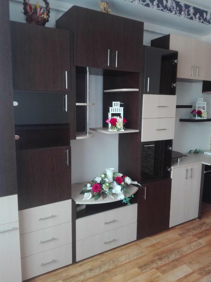 Alexandra 'S Studio Apartment Brasov Luaran gambar