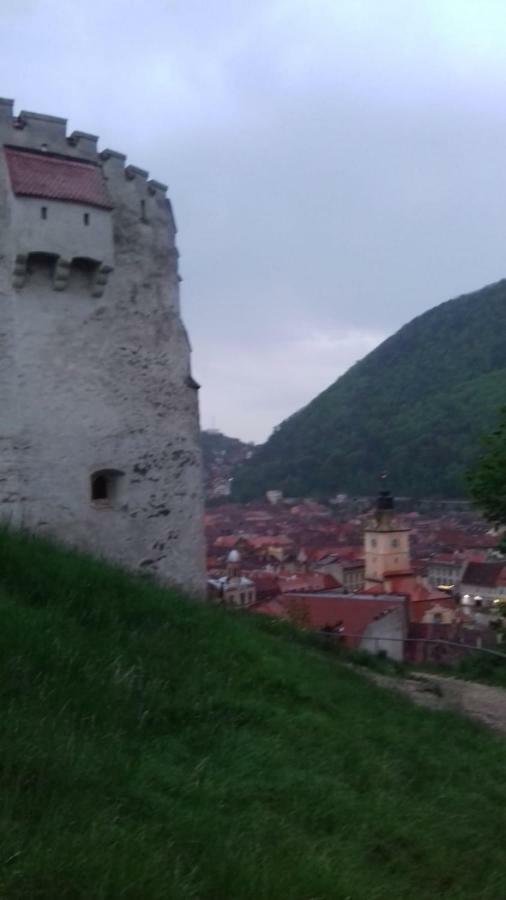 Alexandra 'S Studio Apartment Brasov Luaran gambar